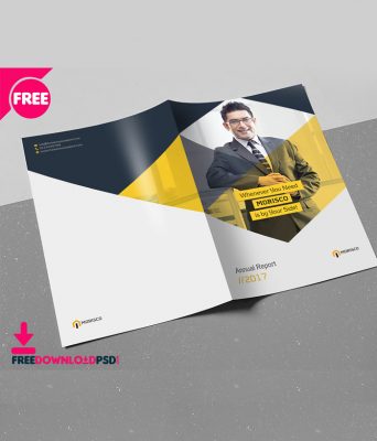 Business Flyer Brochure Templates