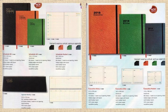 Start Your Day with TH Diary Think Organize 2018