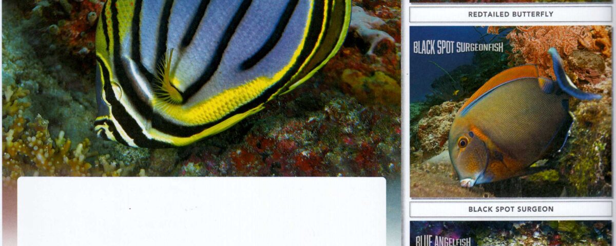 2023 Full Design Calendar Dunia Laut
