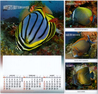 2023 Full Design Calendar Dunia Laut