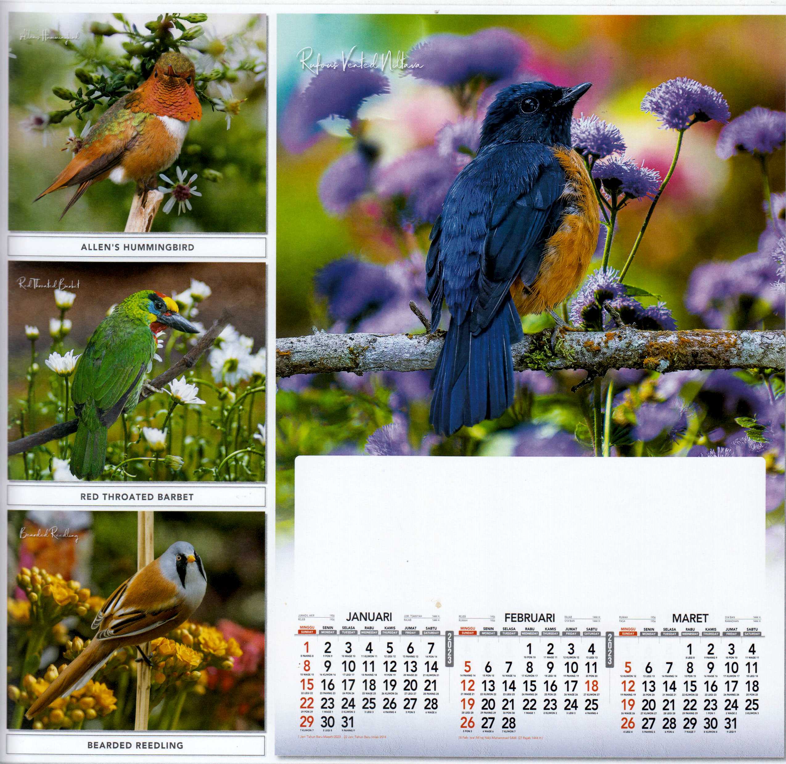 Calendar Burung Cantik