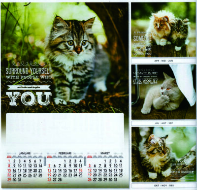Calendar Kucing Cantik